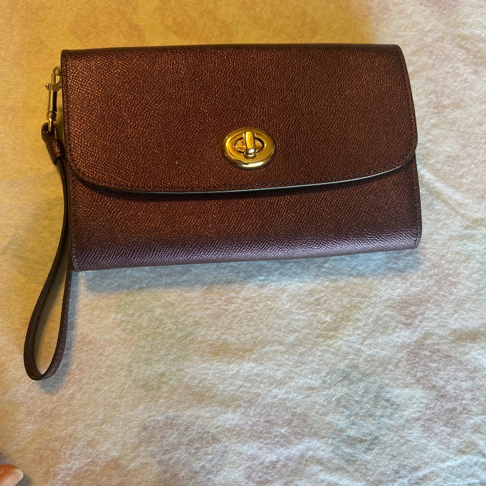 Zip and flip top wrist/clutch